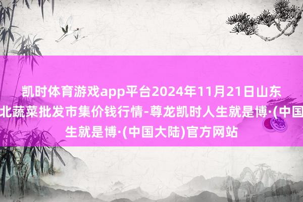 凯时体育游戏app平台2024年11月21日山东滨州(六街)鲁北蔬菜批发市集价钱行情-尊龙凯时人生就是博·(中国大陆)官方网站