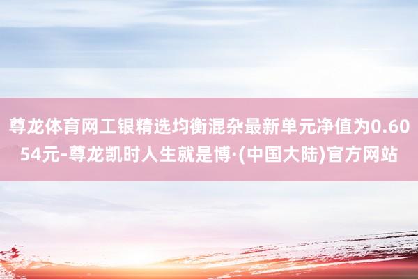 尊龙体育网工银精选均衡混杂最新单元净值为0.6054元-尊龙凯时人生就是博·(中国大陆)官方网站
