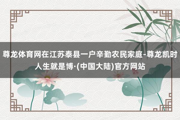 尊龙体育网在江苏泰县一户辛勤农民家庭-尊龙凯时人生就是博·(中国大陆)官方网站