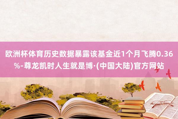 欧洲杯体育历史数据暴露该基金近1个月飞腾0.36%-尊龙凯时人生就是博·(中国大陆)官方网站