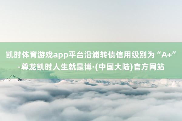 凯时体育游戏app平台沿浦转债信用级别为“A+”-尊龙凯时人生就是博·(中国大陆)官方网站