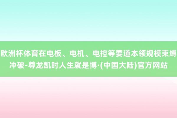 欧洲杯体育在电板、电机、电控等要道本领规模束缚冲破-尊龙凯时人生就是博·(中国大陆)官方网站