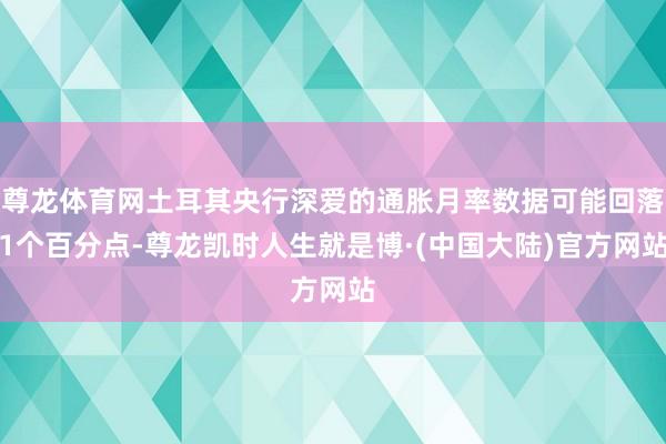尊龙体育网土耳其央行深爱的通胀月率数据可能回落1个百分点-尊龙凯时人生就是博·(中国大陆)官方网站