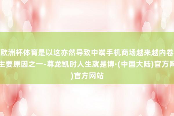 欧洲杯体育是以这亦然导致中端手机商场越来越内卷的主要原因之一-尊龙凯时人生就是博·(中国大陆)官方网站