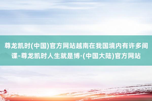 尊龙凯时(中国)官方网站越南在我国境内有许多间谍-尊龙凯时人生就是博·(中国大陆)官方网站