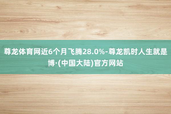 尊龙体育网近6个月飞腾28.0%-尊龙凯时人生就是博·(中国大陆)官方网站