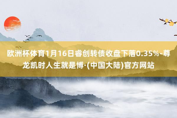 欧洲杯体育1月16日睿创转债收盘下落0.35%-尊龙凯时人生就是博·(中国大陆)官方网站