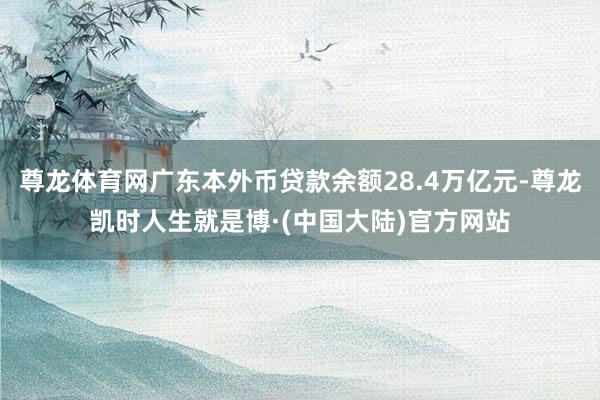 尊龙体育网广东本外币贷款余额28.4万亿元-尊龙凯时人生就是博·(中国大陆)官方网站