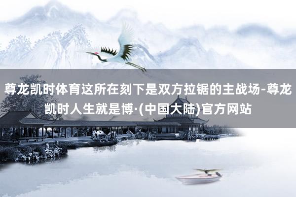 尊龙凯时体育这所在刻下是双方拉锯的主战场-尊龙凯时人生就是博·(中国大陆)官方网站
