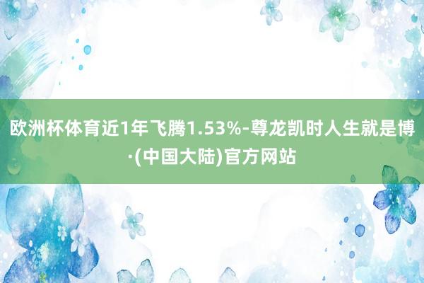 欧洲杯体育近1年飞腾1.53%-尊龙凯时人生就是博·(中国大陆)官方网站
