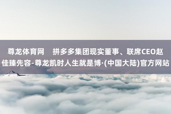 尊龙体育网    拼多多集团现实董事、联席CEO赵佳臻先容-尊龙凯时人生就是博·(中国大陆)官方网站