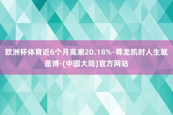 欧洲杯体育近6个月高潮20.18%-尊龙凯时人生就是博·(中国大陆)官方网站
