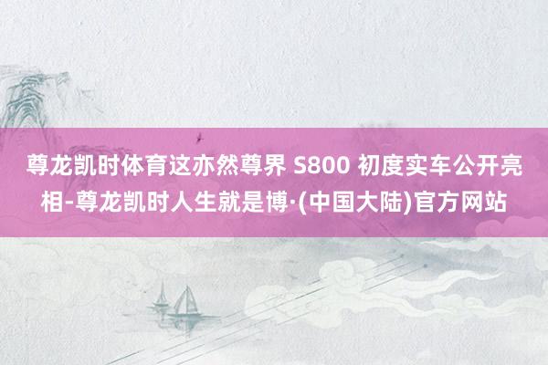 尊龙凯时体育这亦然尊界 S800 初度实车公开亮相-尊龙凯时人生就是博·(中国大陆)官方网站