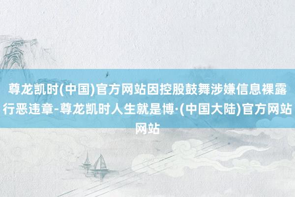 尊龙凯时(中国)官方网站因控股鼓舞涉嫌信息裸露行恶违章-尊龙凯时人生就是博·(中国大陆)官方网站