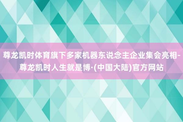 尊龙凯时体育旗下多家机器东说念主企业集会亮相-尊龙凯时人生就是博·(中国大陆)官方网站