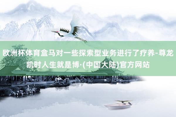 欧洲杯体育盒马对一些探索型业务进行了疗养-尊龙凯时人生就是博·(中国大陆)官方网站