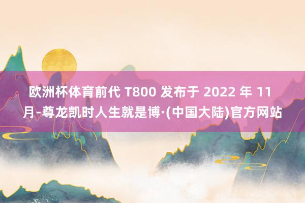 欧洲杯体育前代 T800 发布于 2022 年 11 月-尊龙凯时人生就是博·(中国大陆)官方网站