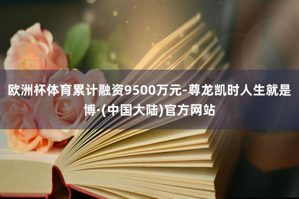 欧洲杯体育累计融资9500万元-尊龙凯时人生就是博·(中国大陆)官方网站