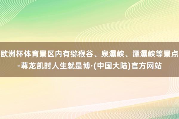欧洲杯体育景区内有猕猴谷、泉瀑峡、潭瀑峡等景点-尊龙凯时人生就是博·(中国大陆)官方网站