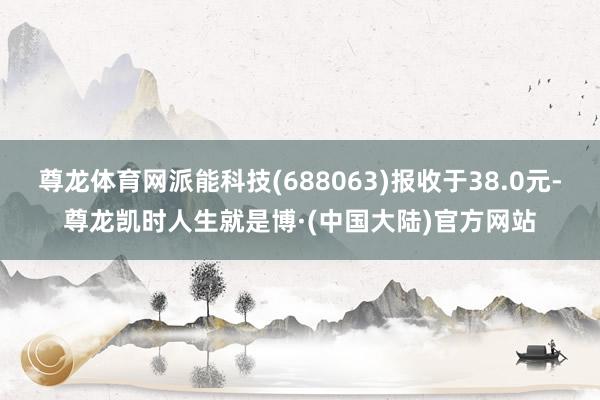 尊龙体育网派能科技(688063)报收于38.0元-尊龙凯时人生就是博·(中国大陆)官方网站