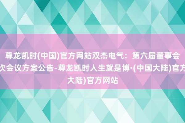 尊龙凯时(中国)官方网站双杰电气：第六届董事会第二次会议方案公告-尊龙凯时人生就是博·(中国大陆)官方网站