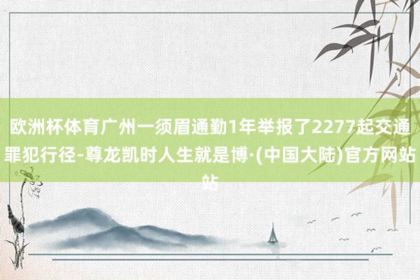 欧洲杯体育广州一须眉通勤1年举报了2277起交通罪犯行径-尊龙凯时人生就是博·(中国大陆)官方网站